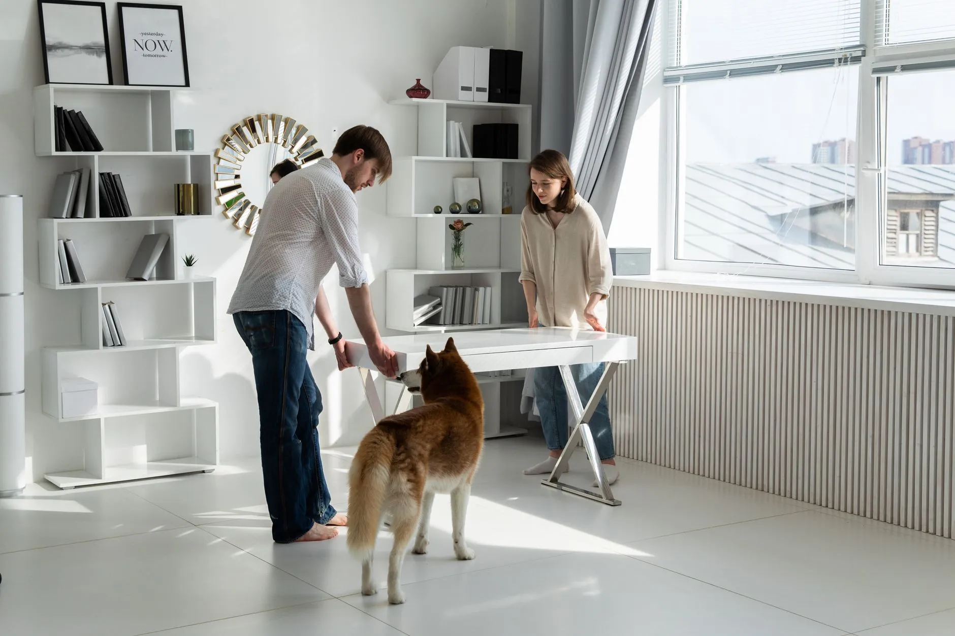 Wie gewöhne ich meinen Hund an die Wohnungshaltung?