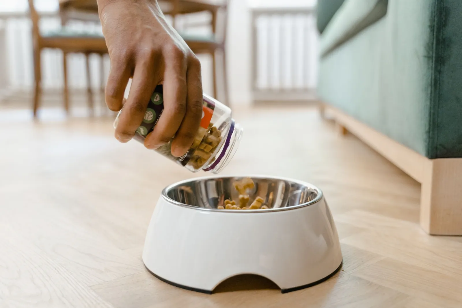 Hundenäpfe für Futter