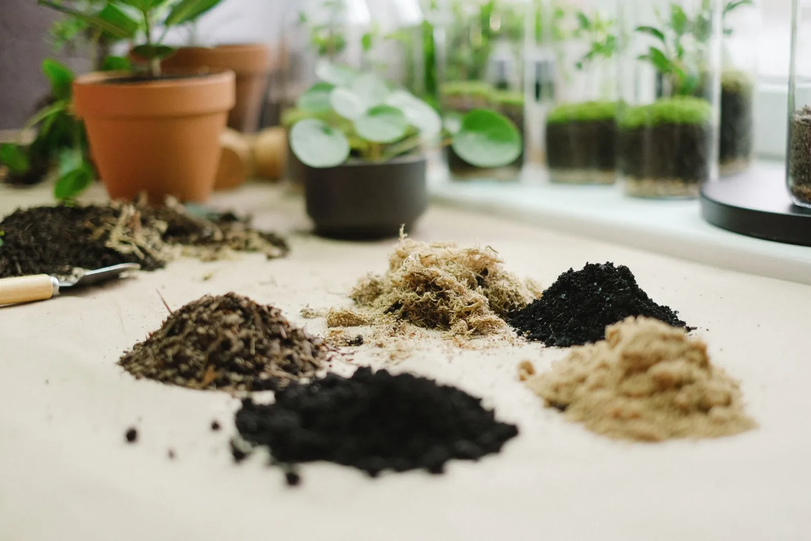 Stolz auf mein Terrarium – wie pflege ich es richtig?